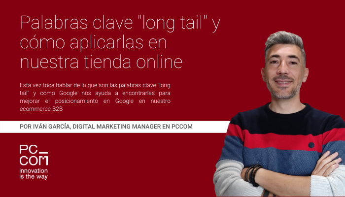 palabras clave long tail