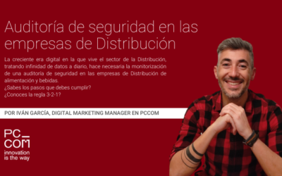 Auditorí­a de seguridad en las empresas de Distribución