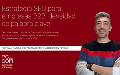 Estrategia SEO para empresas B2B: densidad de palabra clave